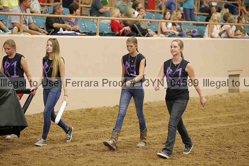 Proof 13yn_04589