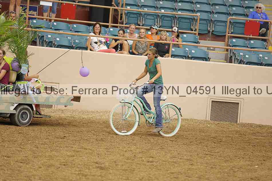 Proof 13yn_04591
