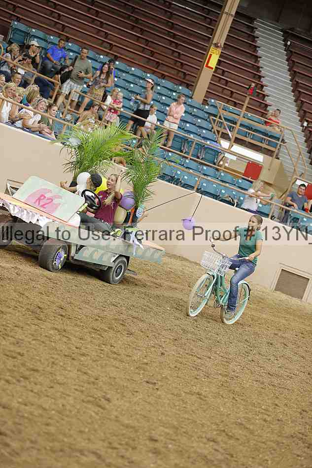 Proof 13yn_04593