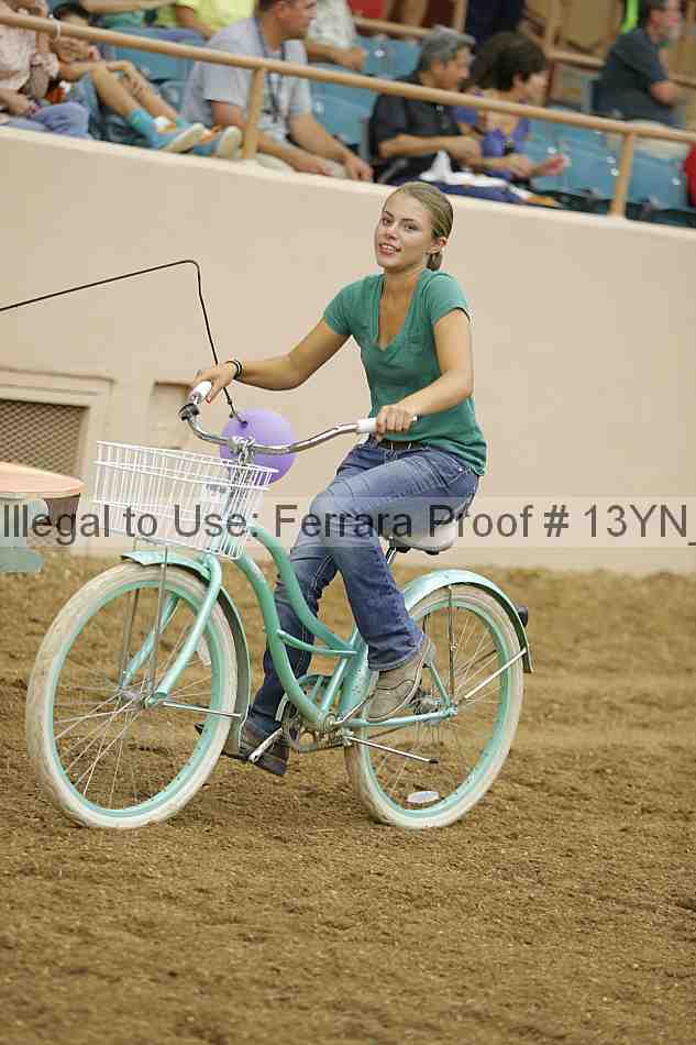Proof 13yn_04595