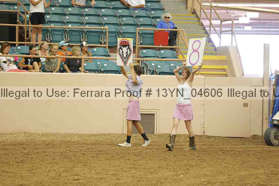 Proof 13yn_04606