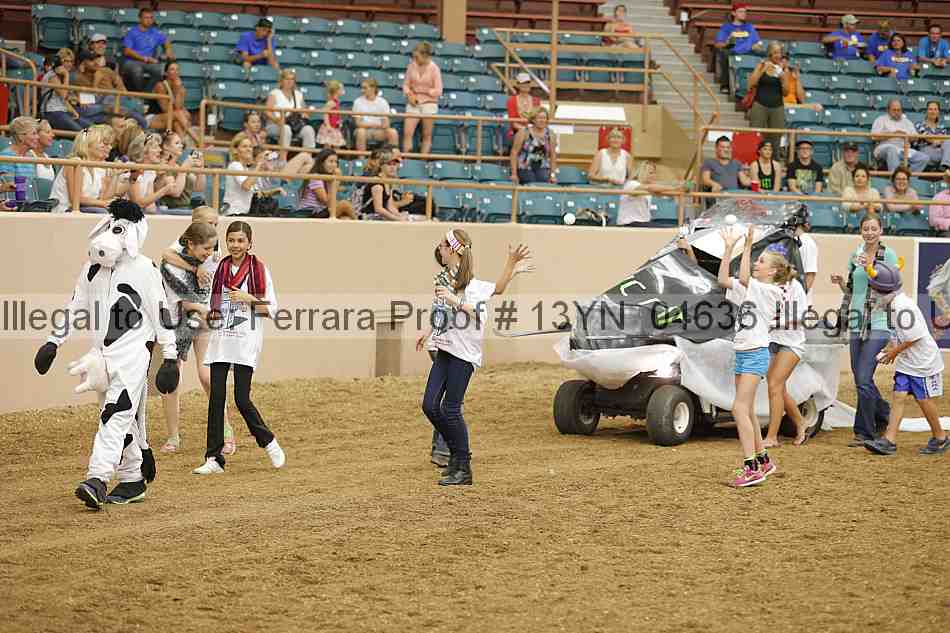 Proof 13yn_04636