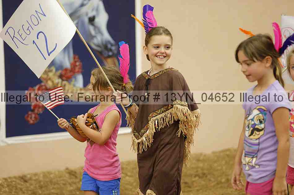 Proof 13yn_04652