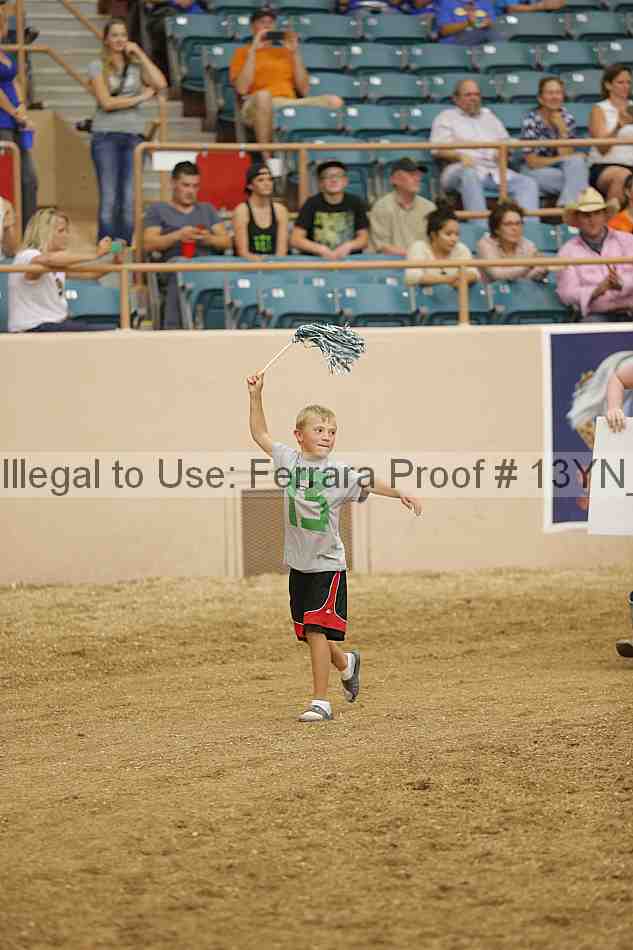 Proof 13yn_04656