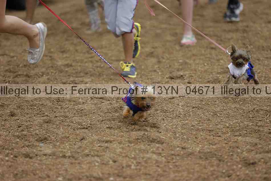 Proof 13yn_04671