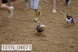 13yn_04671 proof
