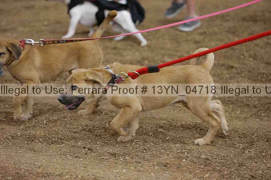Proof 13yn_04718