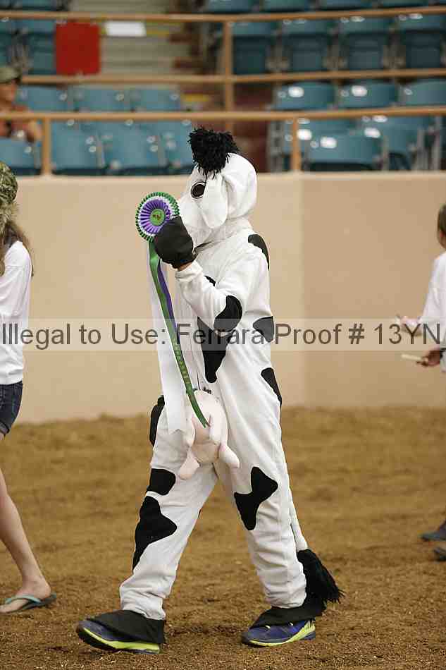 Proof 13yn_04721