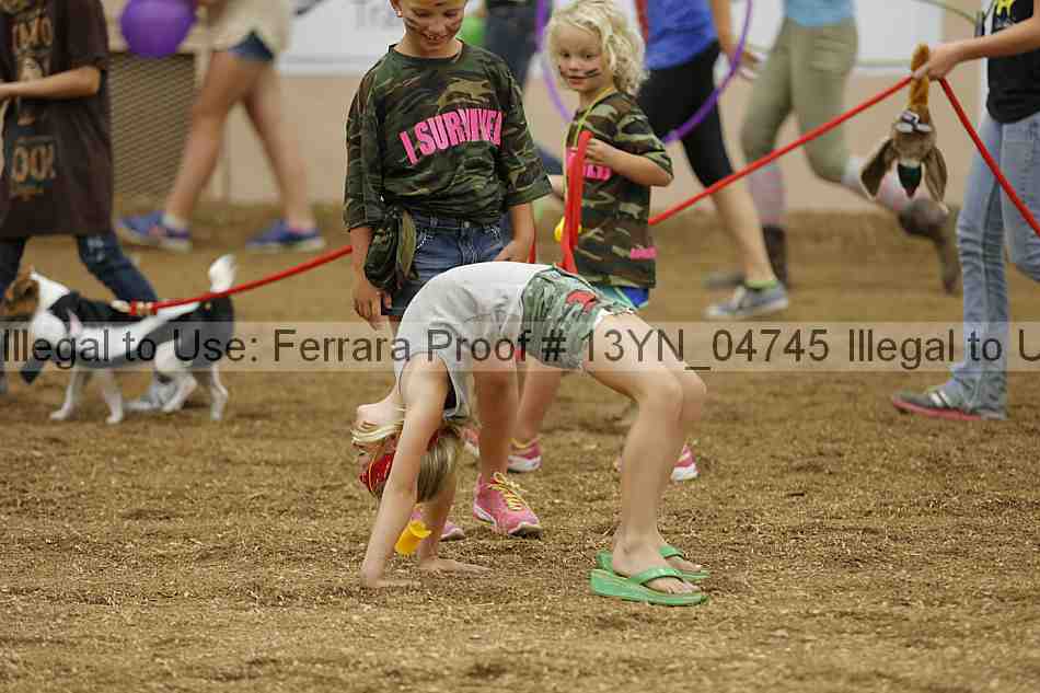 Proof 13yn_04745