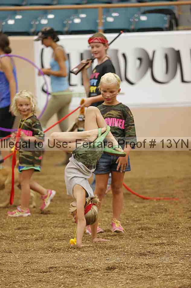 Proof 13yn_04746