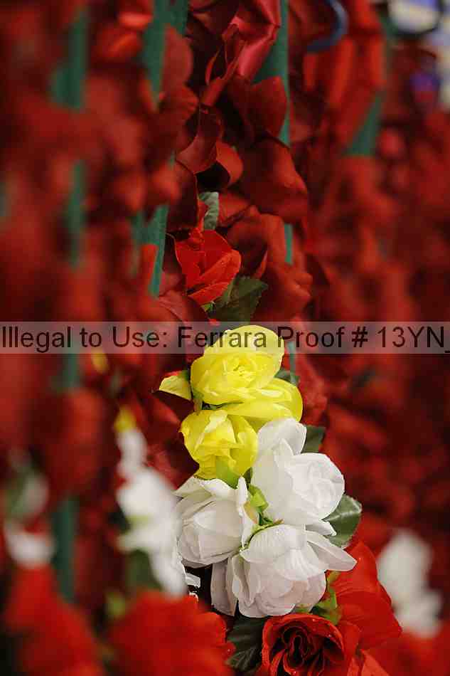 Proof 13yn_00849