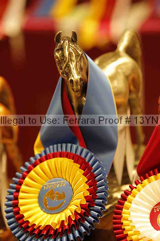 Proof 13yn_00851