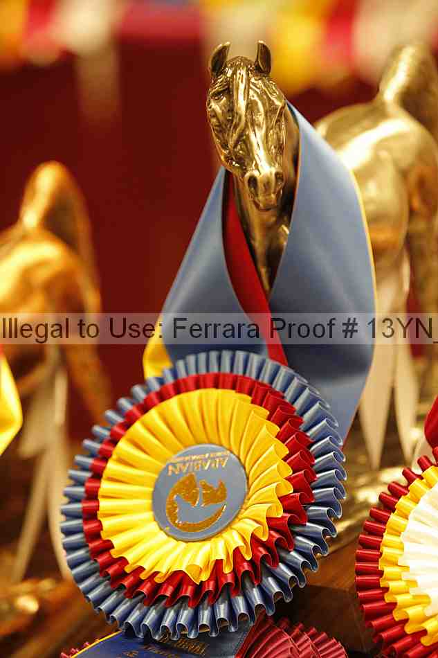 Proof 13yn_00852