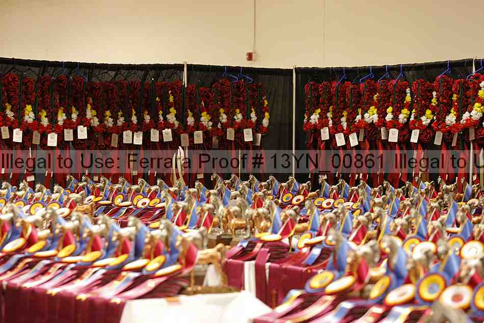 Proof 13yn_00861