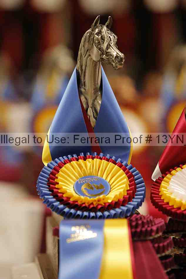Proof 13yn_00866