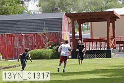 13yn_01317 proof