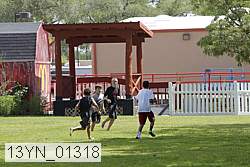 13yn_01318 proof