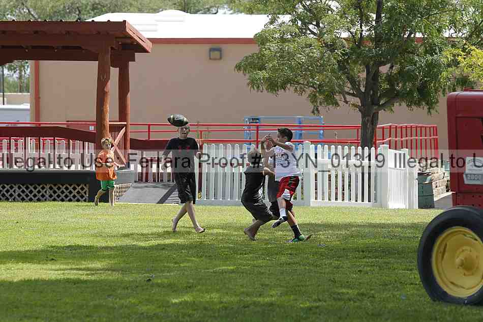 Proof 13yn_01319