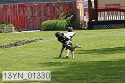 13yn_01330 proof