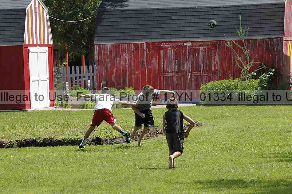Proof 13yn_01334