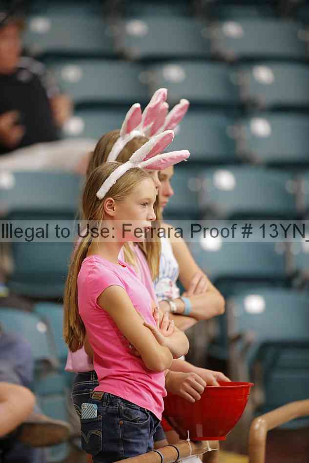 Proof 13yn_17727