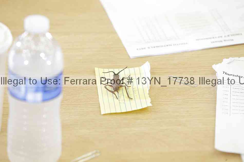 Proof 13yn_17738