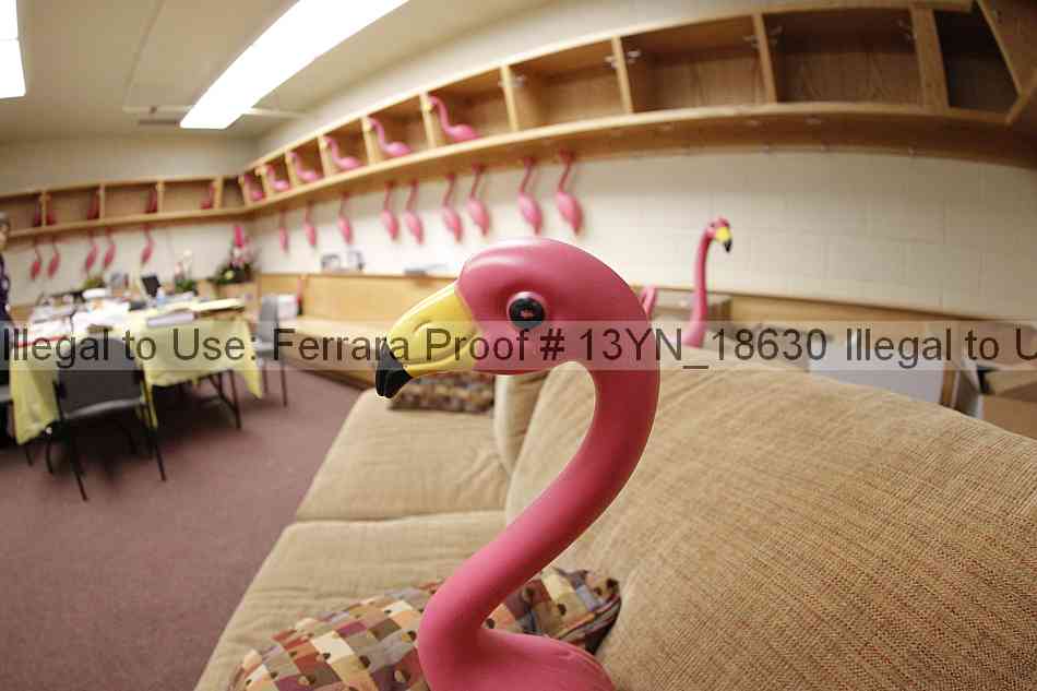 Proof 13yn_18630