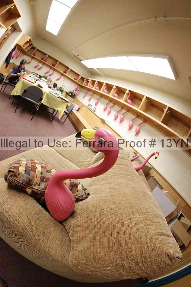 Proof 13yn_18631