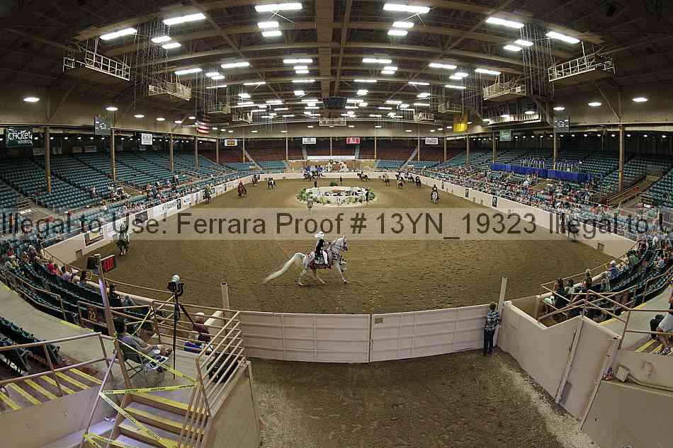 Proof 13yn_19323