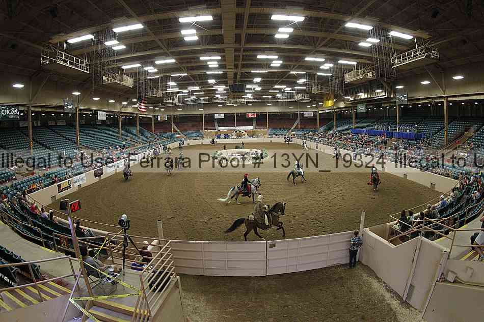 Proof 13yn_19324