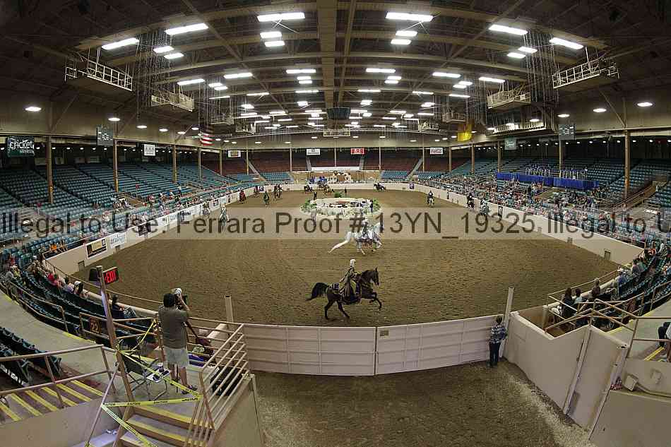 Proof 13yn_19325