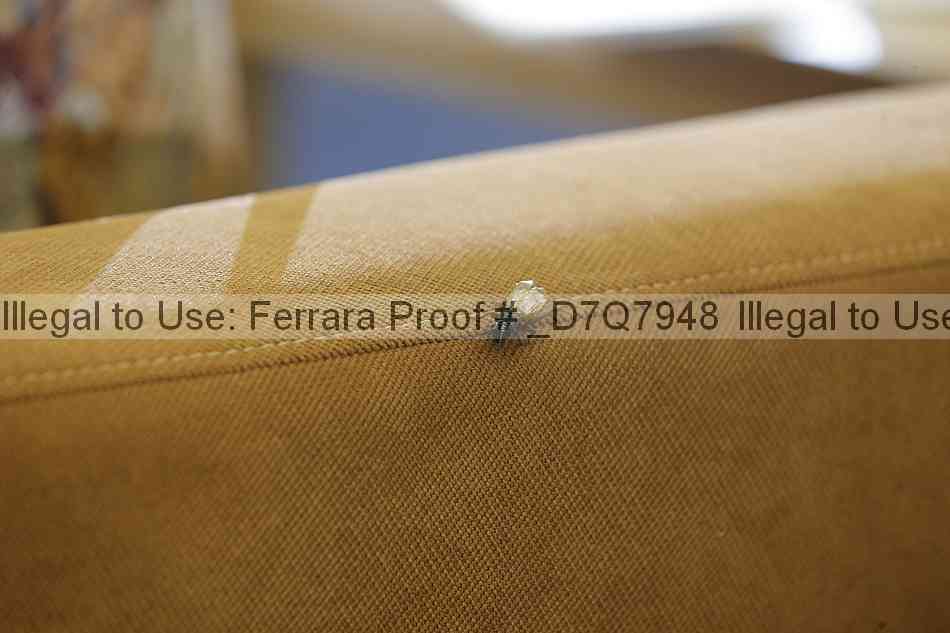 Proof _d7q7948