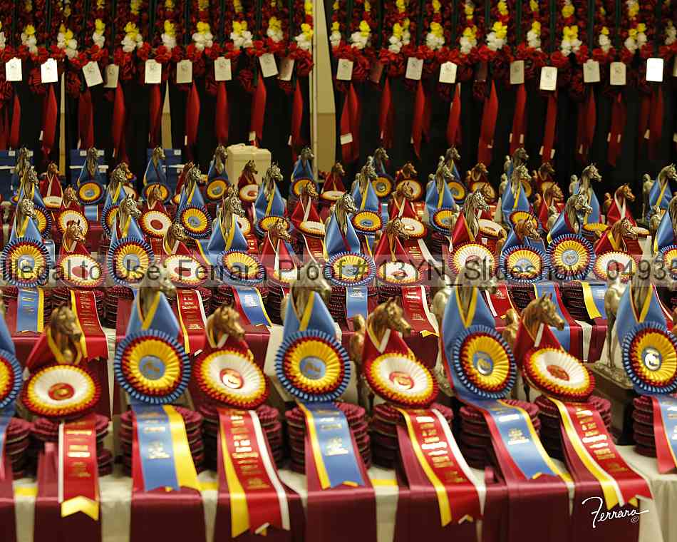 Proof 13yn_slideshow_04935