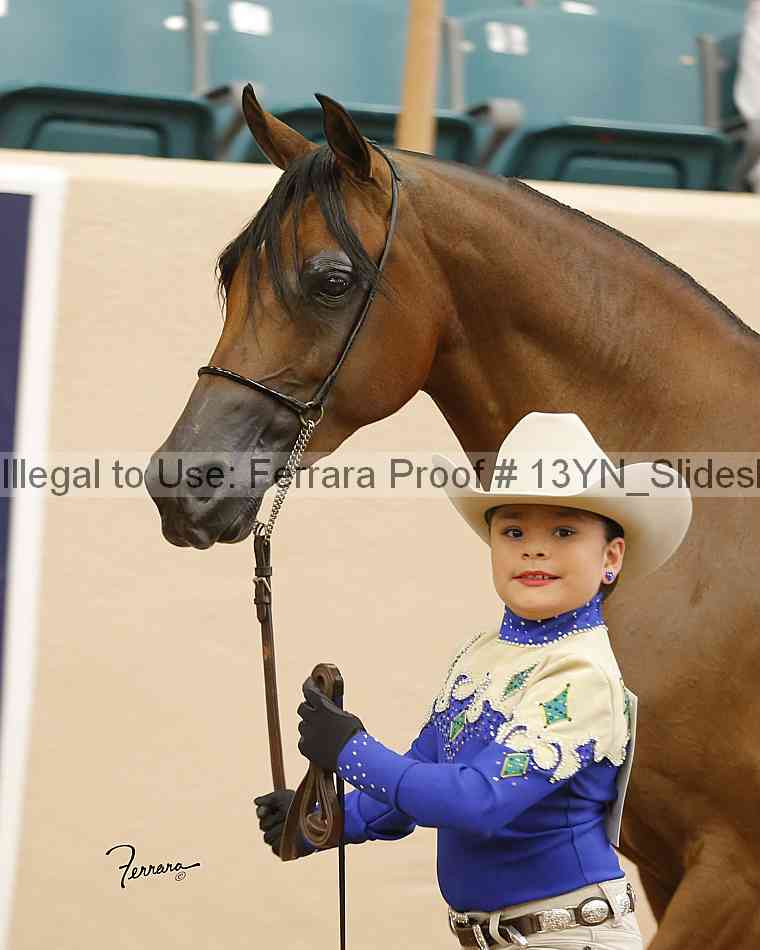 Proof 13yn_slideshow_04936
