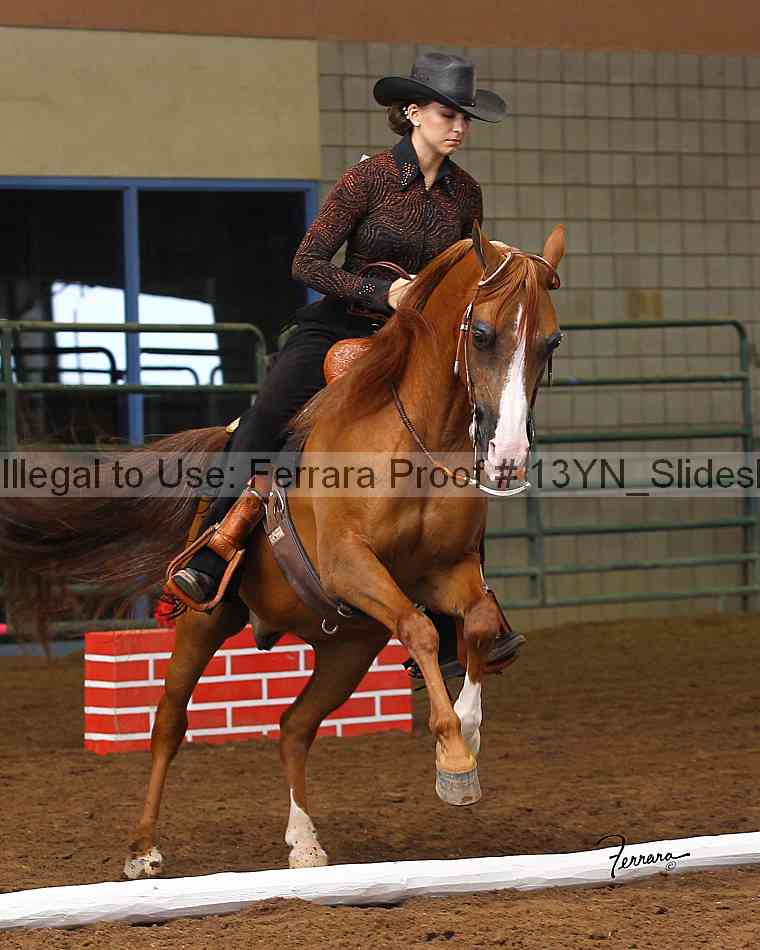 Proof 13yn_slideshow_04937