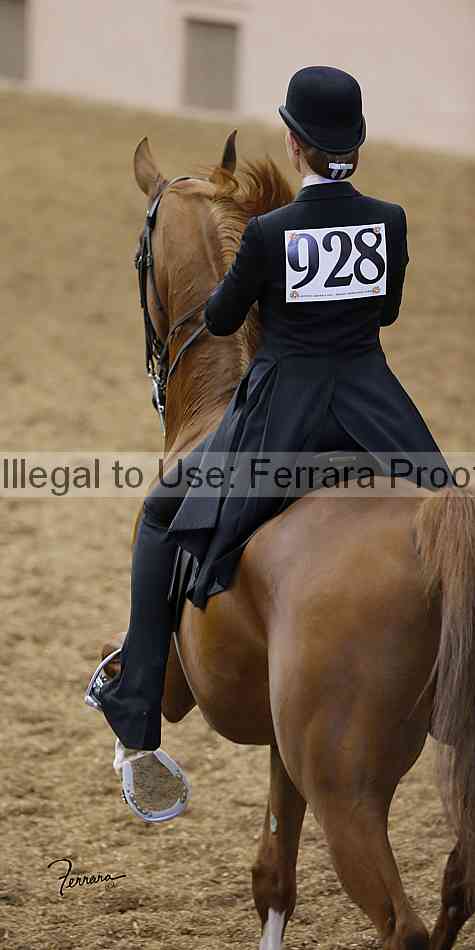 Proof 13yn_slideshow_04946