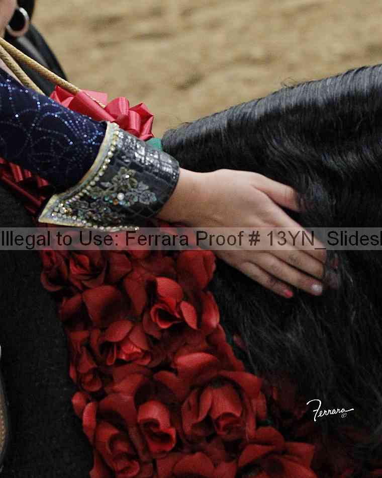 Proof 13yn_slideshow_04973