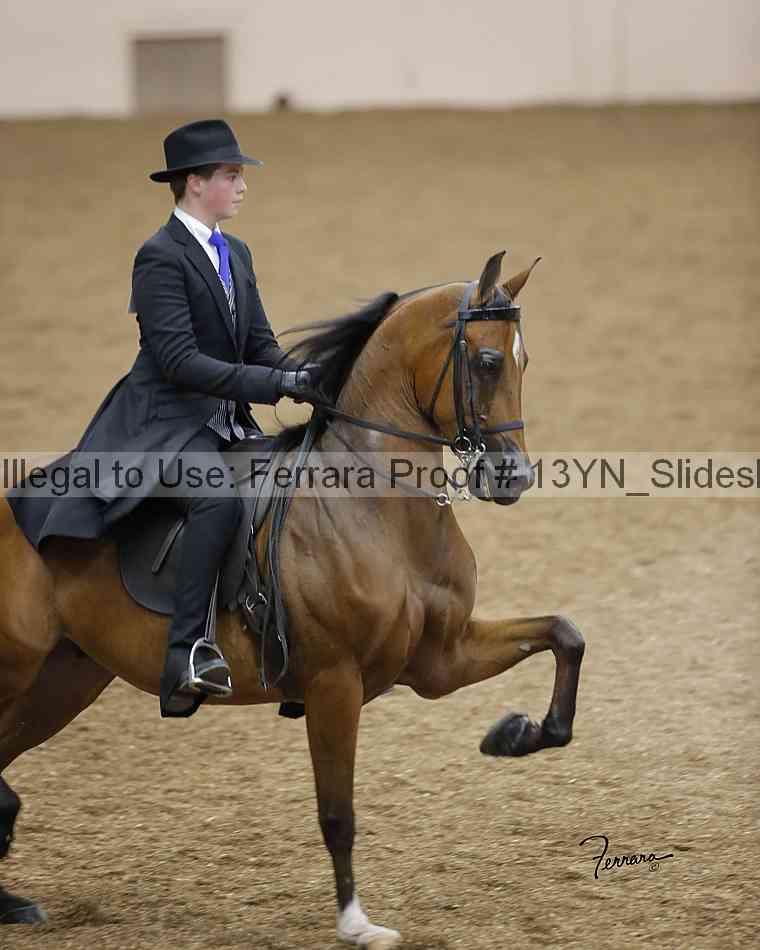 Proof 13yn_slideshow_04976