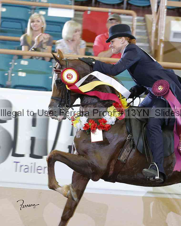 Proof 13yn_slideshow_04979