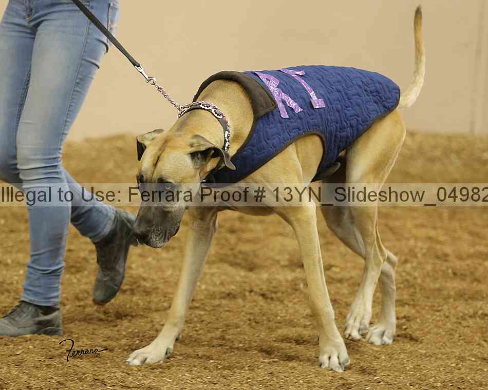 Proof 13yn_slideshow_04982