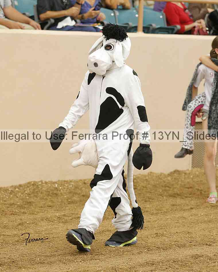 Proof 13yn_slideshow_04987