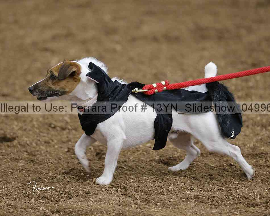 Proof 13yn_slideshow_04996