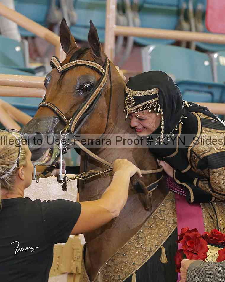 Proof 13yn_slideshow_04999