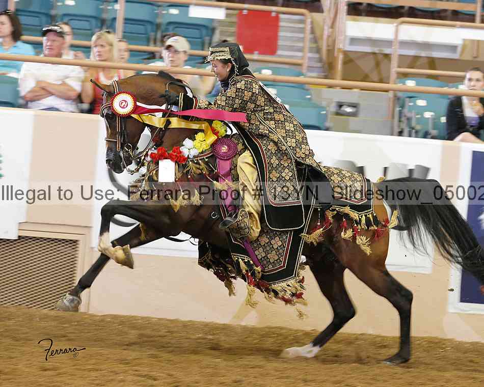 Proof 13yn_slideshow_05002