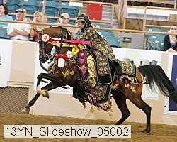 13yn_slideshow_05002 proof
