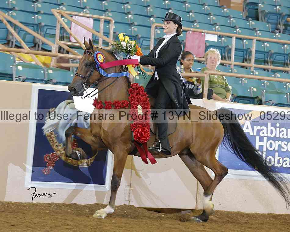 Proof 13yn_slideshow_05293a