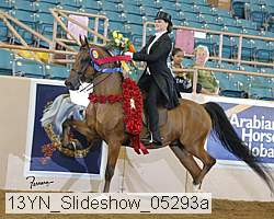 13yn_slideshow_05293a proof