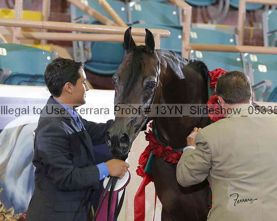 Proof 13yn_slideshow_05335