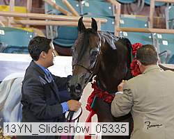 13yn_slideshow_05335 proof