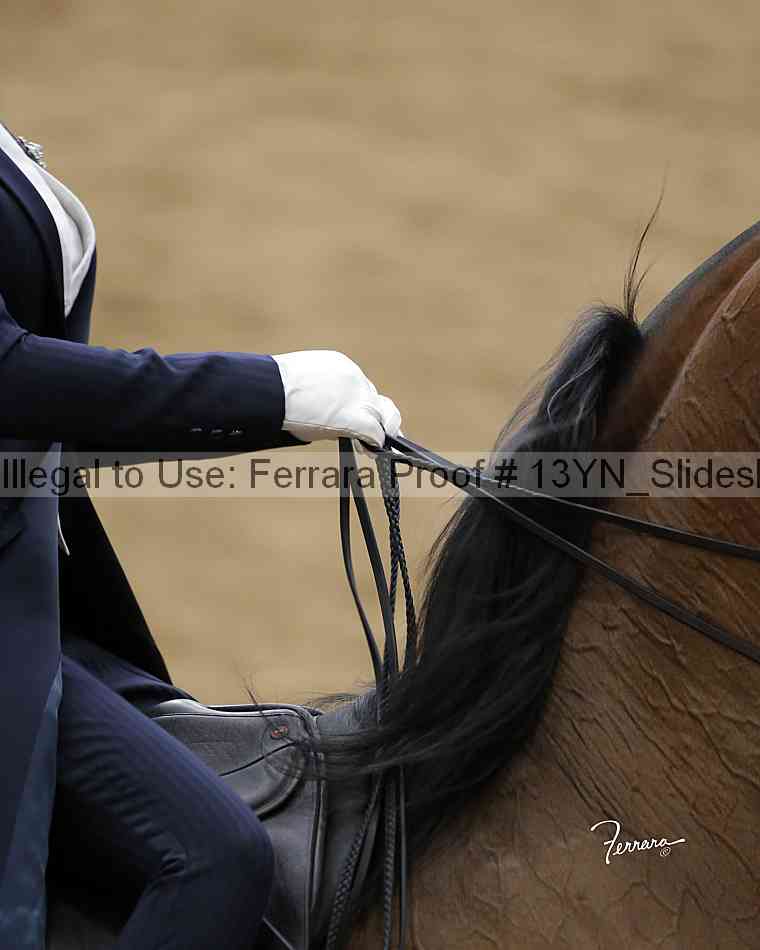Proof 13yn_slideshow_05336